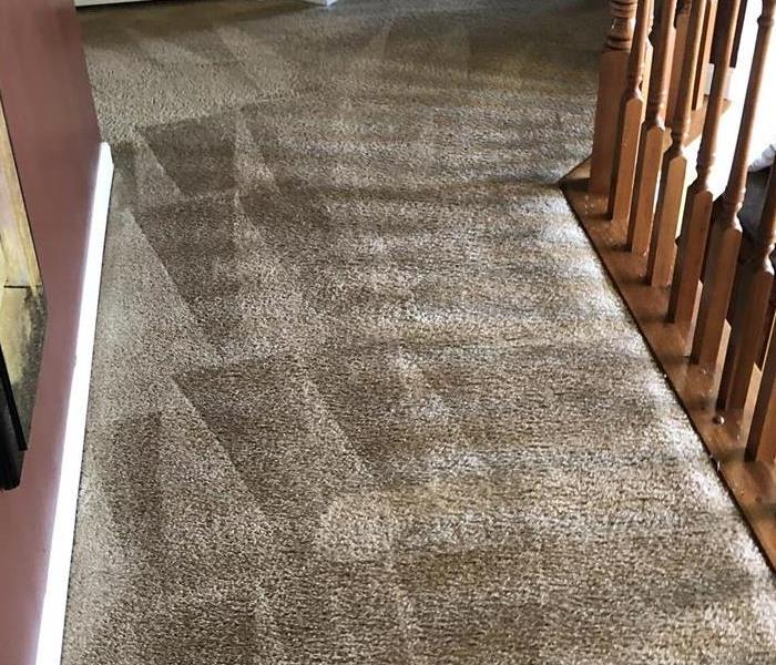 Making it new again - image of cleaned carpet
